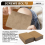 100Pcs Ginger Patch Plasters Promote Blood Circulation 11