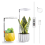 Grow Lights for Indoor, Full Spectrum LED Plant Light Plants 5