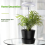 Grow Lights for Indoor, Full Spectrum LED Plant Light Plants 7
