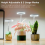 Grow Lights for Indoor, Full Spectrum LED Plant Light Plants 4
