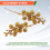 Artificial Berry Stems,7.5 Inches Christmas Glitter Berries(Gold) 5
