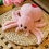 Simulation Spider Jumping Doll Crawling Pet Plush pink 10