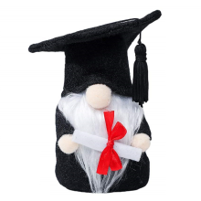 Class of 2024 Graduation Gnome Decorations, Gnomes Plush Gifts,A
