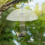2 Pack Bird Feeders Protective Cover,Dome Dome 7