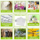 50PCS Aluminum Plant Labels Tree Double-Sided Tags 3
