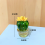 4Pcs Car Inner Ornaments, Art Cactus Figurines, Home Decoration, B 5