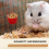 20Pcs Chickens Feeders for Cage, Plastic 7