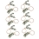 Napkin Rings Set Of 12 Rustic Eucalyptus Wooden 3