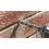 BM 3/4'X13' Cbd Tip Masonry Bit Ref：rJm 2