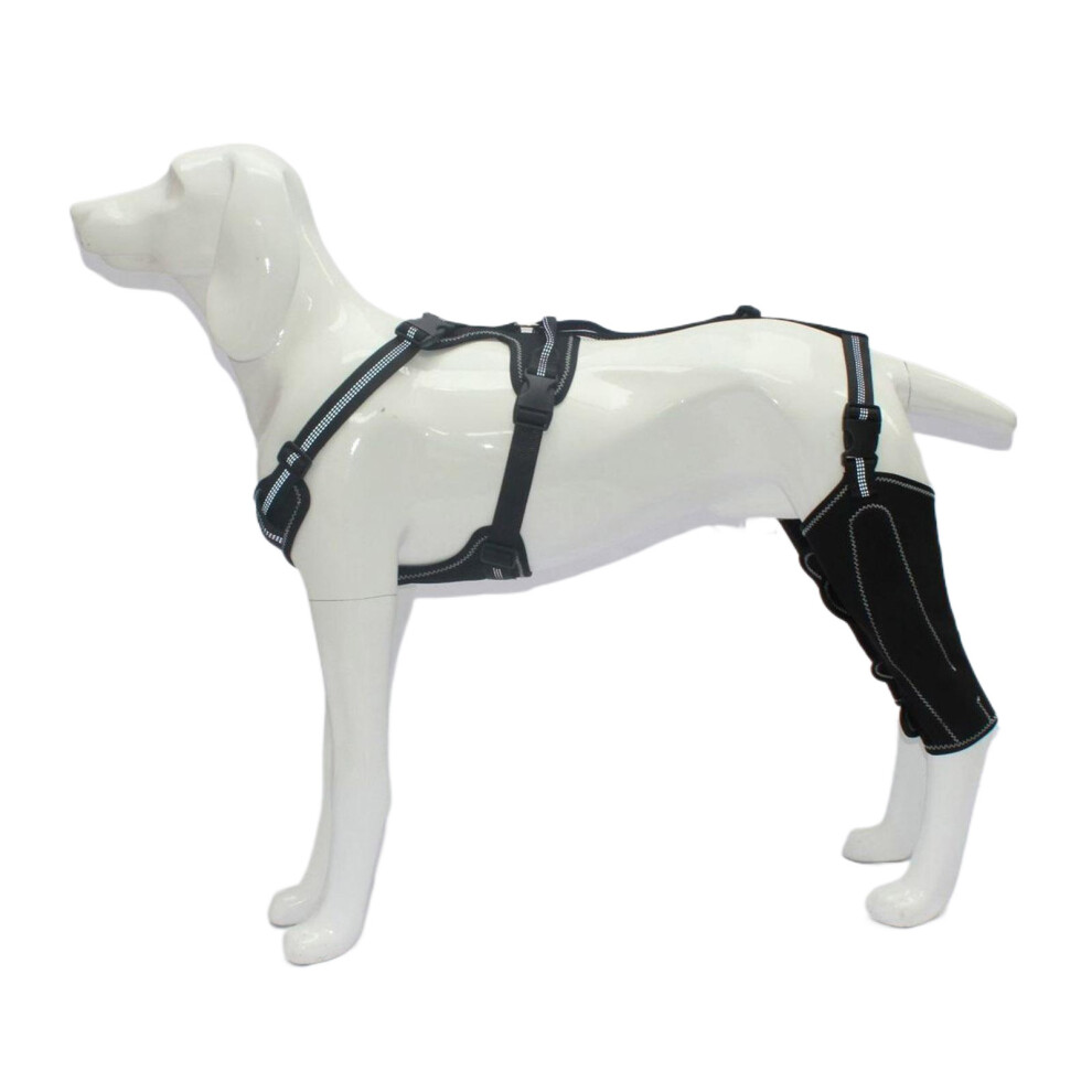 Adjustable Dog Legs Brace Prevents Wounds and Provide Warmth for Recovery Against Licking Assists in Healing Brace M