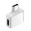 Type C to 8Pin Adapter Type C  Grey 1