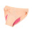 Women Cycling Underwear Elastic Ventilate Quick 7
