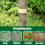 Tree Insect Barrier Tape, Cicada Tree Wrap Protection Tape 4