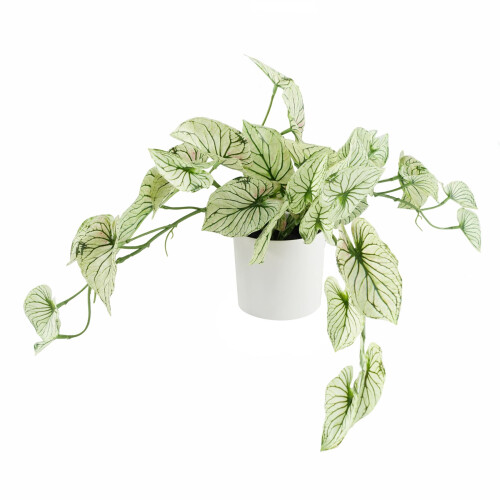 Leaf 30cm Artificial Trailing Plant Variegated Potted Alocasia