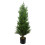 Leaf 120cm Artificial Cypress Topiary 1