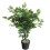 Leaf 60cm Leaf Realistic Artificial Ficus Tree / Plant 1