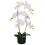 Leaf 65cm Leaf Design UK Realistic Artificial Orchid Flower Display in Pot 1