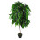 Leaf 120cm Leaf Design UK Artificial Realistic Mango Plant / Tree 1