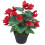 Leaf 38cm Artificial Cylamen Plant Red 1
