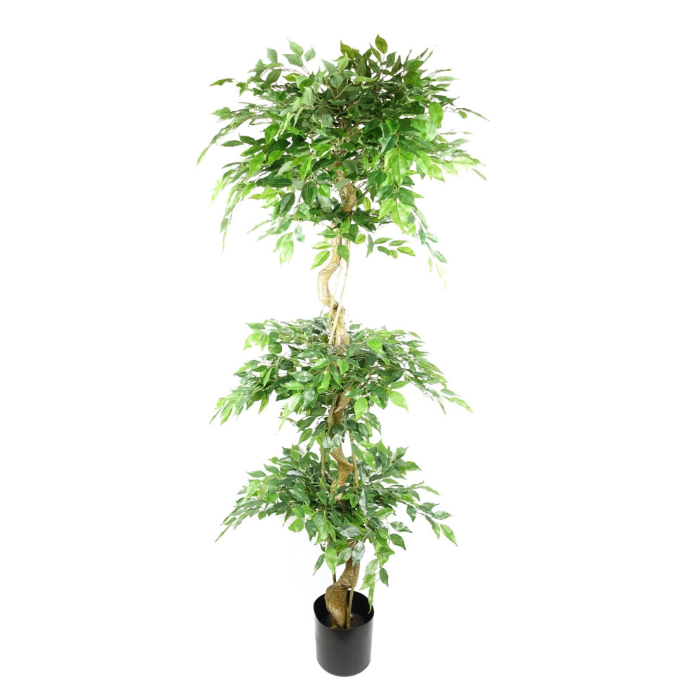 B&Q - Artificial 180Cm Twisted Trunk Fruticosa Ficus Tree Triple Ball Topiary 1984 Leaves - Image 7