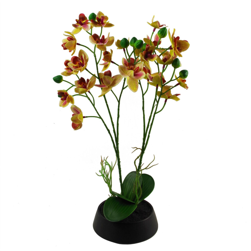 Leaf 43Cm Large Artificial Orchid In Ceramic Planter Pink/Yellow
