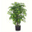 Leaf 90cm Leaf Realistic Artificial Ficus Tree / Plant 1