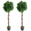 Leaf Pair of 120cm (4ft) Twisted Stem Artificial Topiary Bay Laurel Ball Trees 1