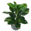 Leaf 60cm Artificial Devil's Ivy (Scindapsus Aureus) Plant 1