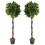 Leaf Pair of 120cm (4ft) Twisted Trunk Artificial Topiary Bay Laurel Ball Trees 1