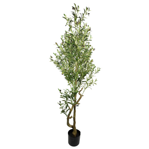 Leaf 160cm Artificial Olive Tree 1296 Leaves 72 Olives