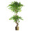 Leaf 150cm Twisted Trunk Artificial Japanese Fruticosa Ficus Tree Gold Planter 1