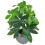 Leaf 50cm Artificial Money Tree Plant 1