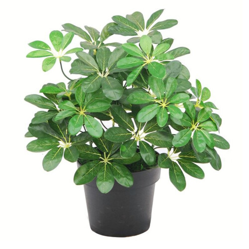 Leaf 55cm Dark Green Artificial Schefflera Arboricola Plant