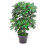 Leaf 55cm Dark Green Artificial Schefflera Arboricola Plant 1
