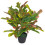Leaf 65cm Artificial Codiaeum Multicoloured House Plant 1