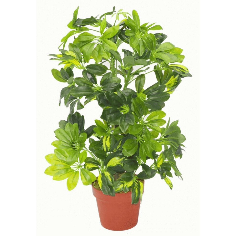 Leaf 75Cm Artificial Arboricola Capella Plant Gold