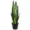 Leaf 70cm Artificial Sansevieria Zeylanica Plant 1