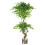 Leaf 150cm Twisted Trunk Artificial Japanese Fruticosa Ficus Tree Silver Planter 1