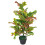 Leaf 90cm Artificial Codiaeum Multicoloured House Plant - Large 1