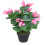 Leaf 38cm Artificial Cylamen Plant Pink 1