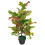 Leaf 90cm Artificial Codiaeum Multicoloured House Plant - Large 1