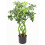 Leaf 70cm Artificial Twisted Stem Modern Arboricola Artificial Plant Bonsai Bush 1
