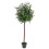 Leaf 120cm Leaf Design UK Realistic Artificial Olive Tree in Black Plastic Pot 1