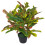 Leaf 65cm Artificial Codiaeum Multicoloured House Plant 1