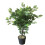 Leaf 60cm Artificial Ficus Tree / Plant - Large Bushy Shape 1