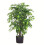 Leaf 90cm Artificial Ficus Tree / Plant - Large Bushy Shape 1