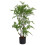 Leaf 90cm Artificial Natural Moss Base Fern Foliage Plant 1