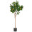 Leaf 150cm Artificial Lemon Tree Premium Quality 1