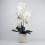 Leaf 60cm Pure White Artificial Orchid with Ceramic Bubble Planter 1