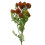 Leaf 55cm Craspedia Stem Red Artificial 1